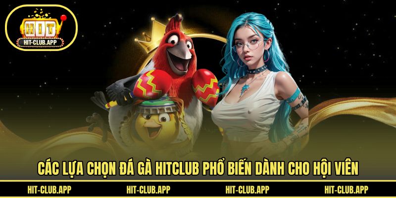 Các lựa chọn đá gà HITCLUB phổ biến dành cho hội viên