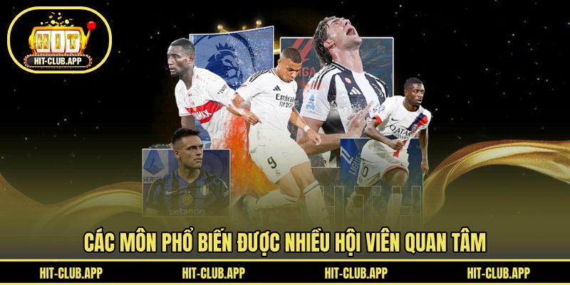 Các môn phổ biến được nhiều hội viên quan tâm