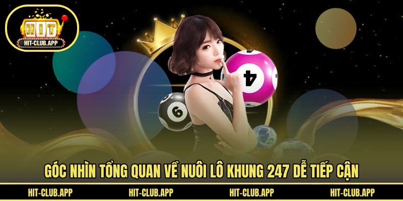 Góc nhìn tổng quan về nuôi lô khung 247 dễ tiếp cận