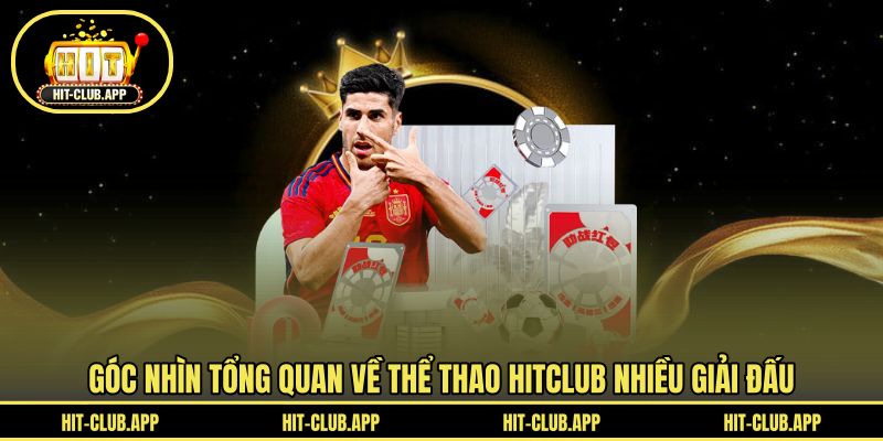 Góc nhìn tổng quan về thể thao HITCLUB nhiều giải đấu