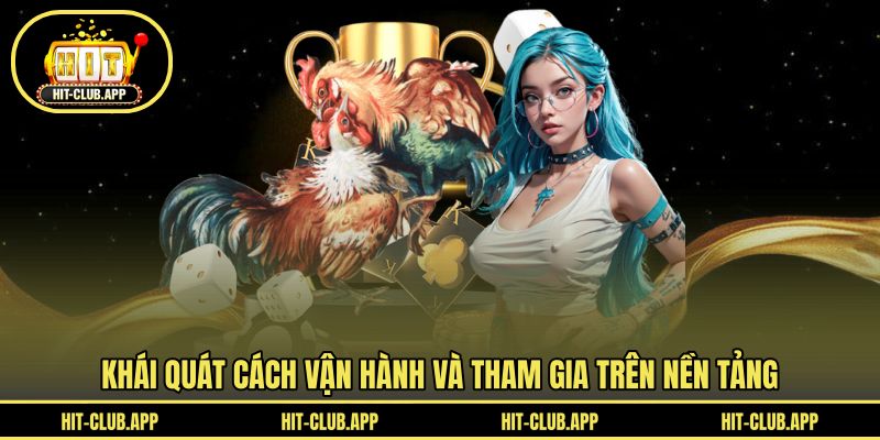 Khái quát cách vận hành và tham gia trên nền tảng