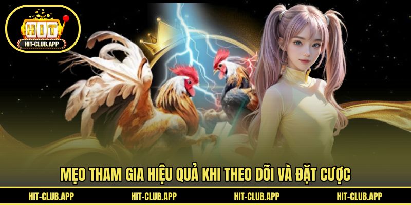 Mẹo tham gia hiệu quả khi theo dõi và đặt cược