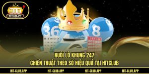 Nuôi Lô Khung 247 - Chiến Thuật Theo Số Hiệu Quả Tại HITCLUB